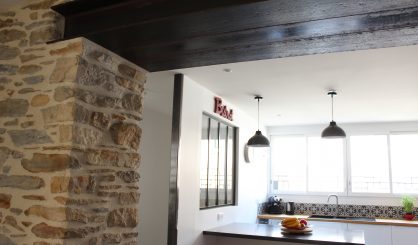 Maison zinc de ville 7